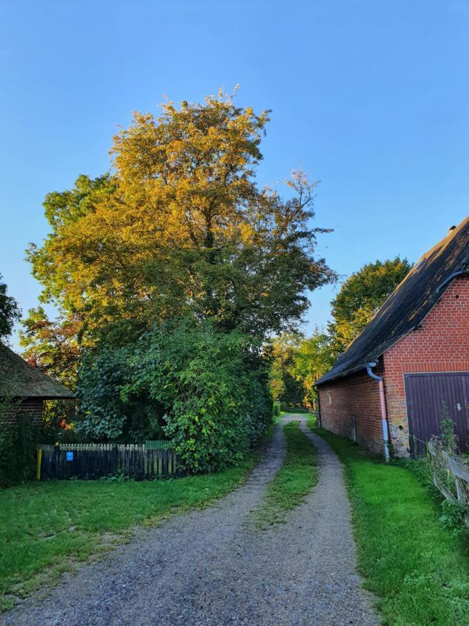 Ostssespitze Villa Riepsdorf Exteriör bild